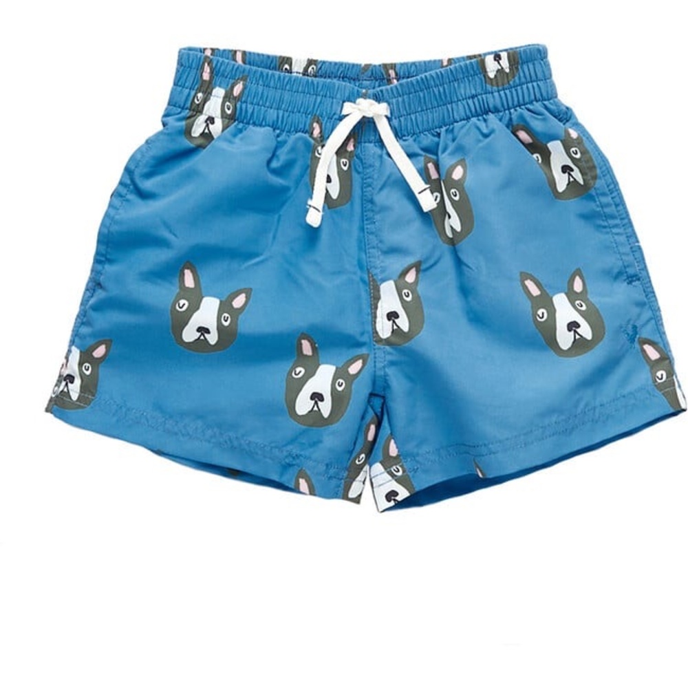Blue Rooster Boys Swim Trunk, Blue Boston Terrier, 5Y